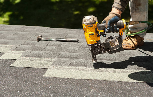 Best Roof Gutter Cleaning  in Honaker, VA