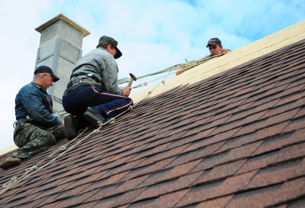 Best Affordable Roof Replacement  in Honaker, VA